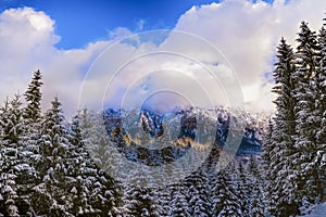 winter landscape with Carpati Piatra Craiului mountain