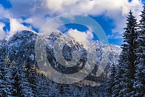 winter landscape with Carpati Piatra Craiului mountain