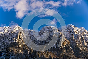 Winter landscape with Carpati Piatra Craiului mountain