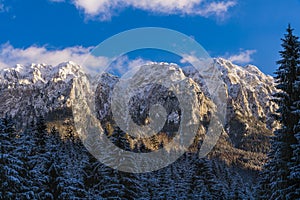 winter landscape with Carpati Piatra Craiului mountain