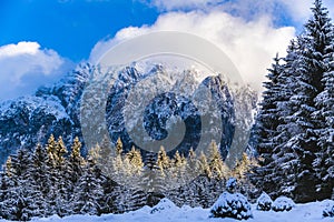 winter landscape with Carpati Piatra Craiului mountain