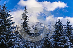 winter landscape with Carpati Piatra Craiului mountain