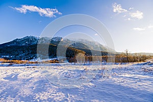 Winter landscape with Carpati Piatra Craiului mountain