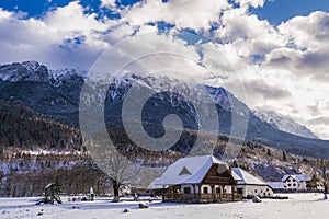 winter landscape with Carpati Piatra Craiului mountain photo