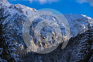 Winter landscape with Carpati Piatra Craiului mountain photo