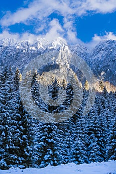 winter landscape with Carpati Piatra Craiului mountain photo