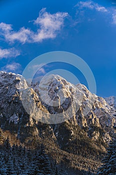 winter landscape with Carpati Piatra Craiului mountain photo