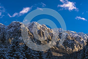 winter landscape with Carpati Piatra Craiului mountain photo