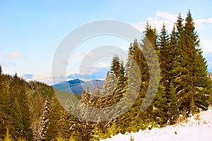 Winter landscape. Carpatians mountains