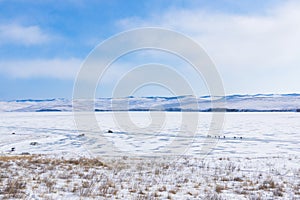 Winter landscape. Cars and cyclists on an icy road near Ogoy Island. View of the mountains and frozen Lake Baikal from above