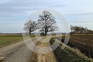 Winter landscape in central Europe abnormally warm winter