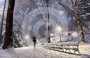 Winter landscape in Central Park. New York City.