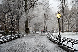 Winter landscape in Central Park. New York City. USA