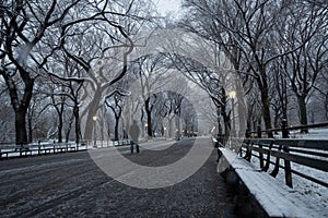 Winter landscape in Central Park. New York City. USA