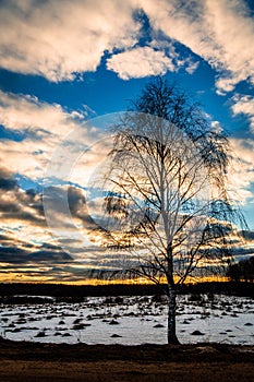 Winter landscape in Central Russia.