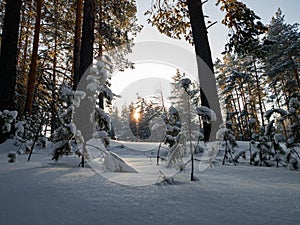 Winter landscape in Central Siberia