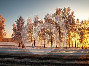 Winter landscape in Central Siberia