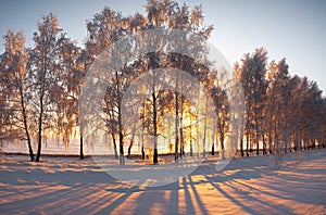 Winter landscape in Central Siberia