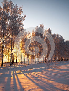 Winter landscape in Central Siberia