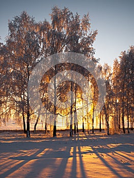 Winter landscape in Central Siberia