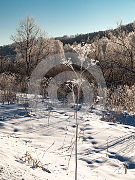 Winter landscape in Central Siberia