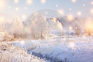 Winter landscape. Christmas Holiday Background with color snowflakes. Magic winter