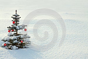 Winter landscape with Christmas and new year fir tree decoration