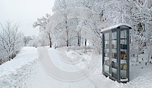 Winter landscape in the city Park of Gatchina. A bookcase in the city park. A snow-covered alley and white trees in a severe frost