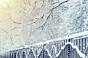 Winter landscape in city park, iron fence in snow