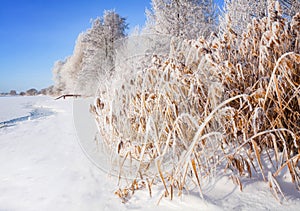 Winter landscape on a clear frosty day overlooking the banks of the Volga River.