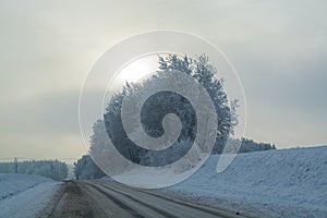 Winter landscape. Cloudy day. The Forest county road.