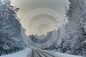 Winter landscape. Cloudy day. The Forest county road.