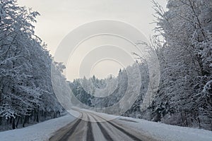 Winter landscape. Cloudy day. The Forest county road.