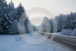 Winter landscape. Cloudy day. The Forest county road.