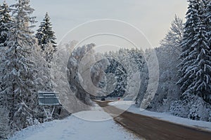 Winter landscape. Cloudy day. The Forest county road.