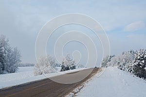 Winter landscape. Cloudy day. The Forest county road.