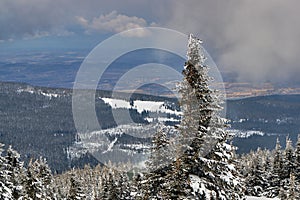 Winter landscape on a cloudy day in the Giant Mountains