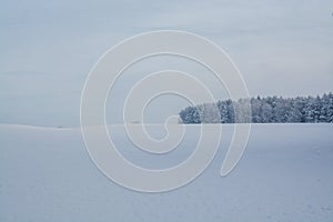 Winter landscape. Cloudy day. Monochrome landscape. Winter forest.