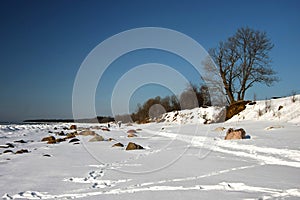 Winter landscape on the coast