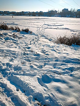 Winter landscape. Composition of nature. River with strong ice