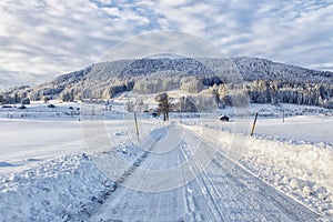 Winter landscape and country road
