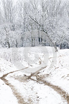 Winter landscape with country road