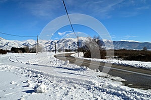 Winter Landscape covered with snow near a road