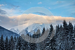 Winter landscape covered with snow in Western Tatras mountain