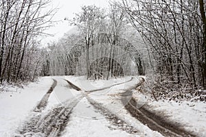 Winter landscape with crossroads