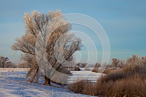Winter landscape, dawn over the river