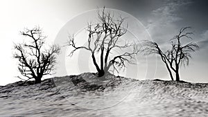 Winter Landscape With Dead Trees