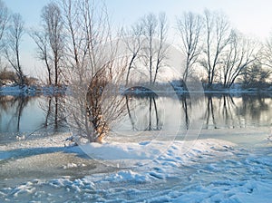 winter landscape in december