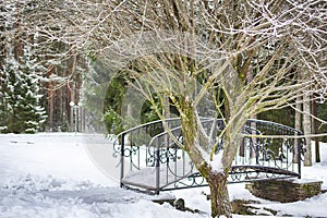 Winter landscape, decorative bridge over a frozen stream. Forest panorama. Snow park