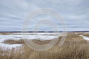 Winter landscape with a developed bog lake